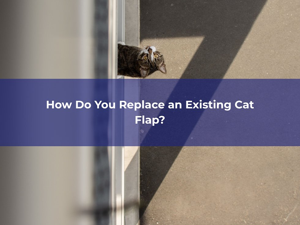 Considering an upgrade for your kitty? Know what to check first, when to upgrade to a microchip cat flap, and when glass may need replacing.