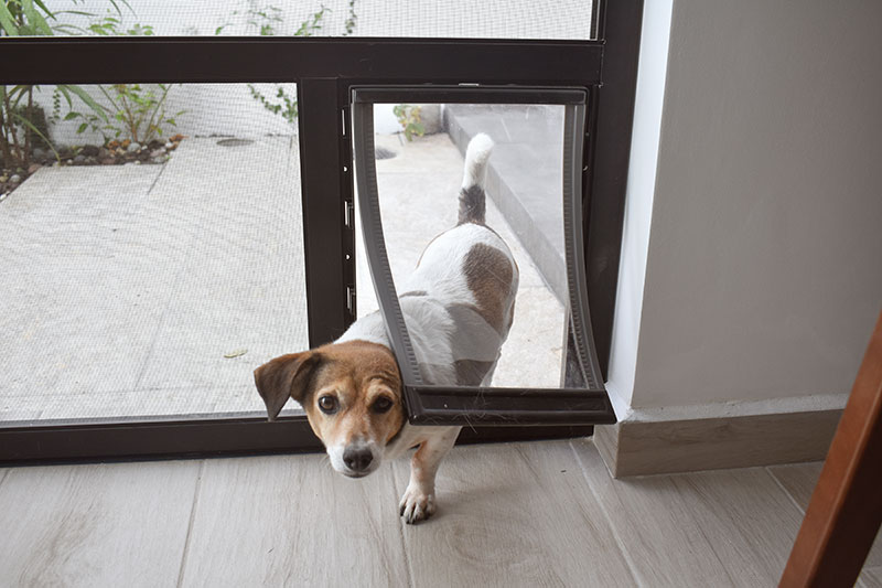 Commercial Glass  Services